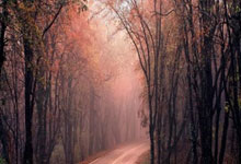 高中历史教案,高中历史教案课后反思简短