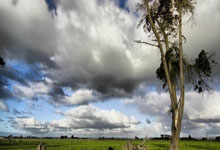 课件ppt免费下载语文,语文课件ppt模板下载