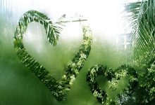 卡式炉图片大全,卡式炉怎么用教程