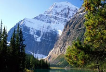 课件帮网页版,课件助手