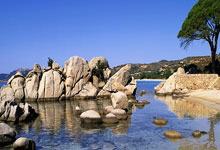 教案的基本格式表格,教案格式有哪几种